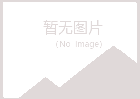 泸州夏岚咨询有限公司